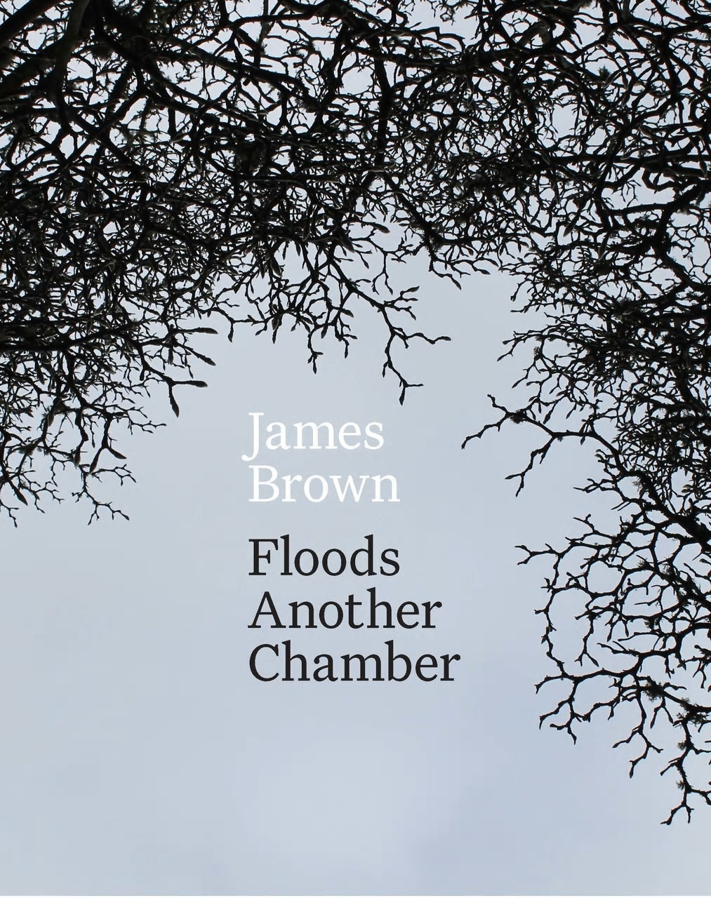 'Floods Another Chamber' - Review